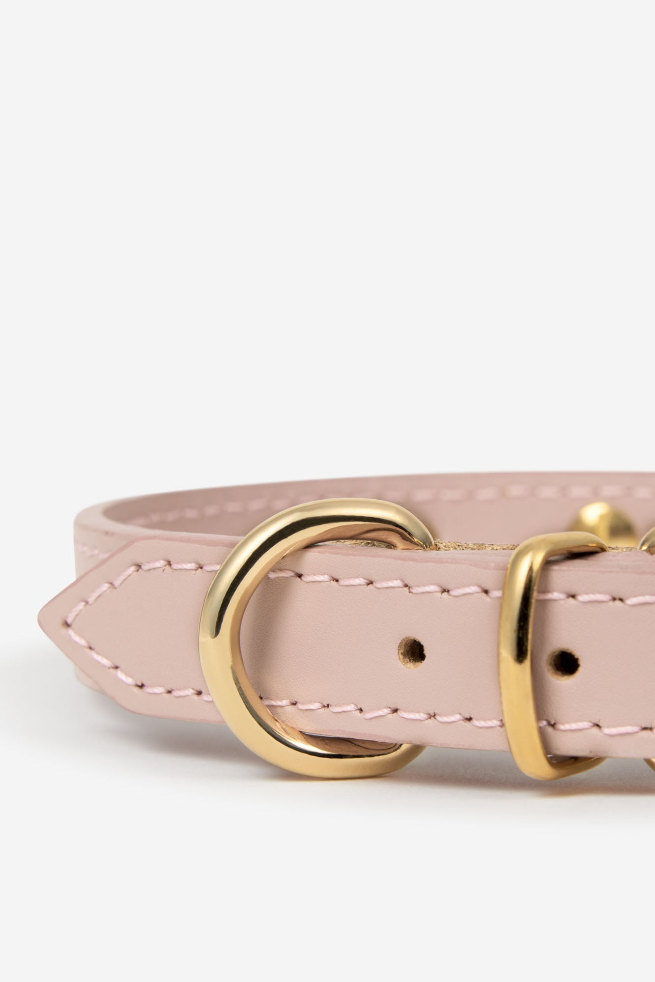 El Collar Perfecto para un Bichón Maltés