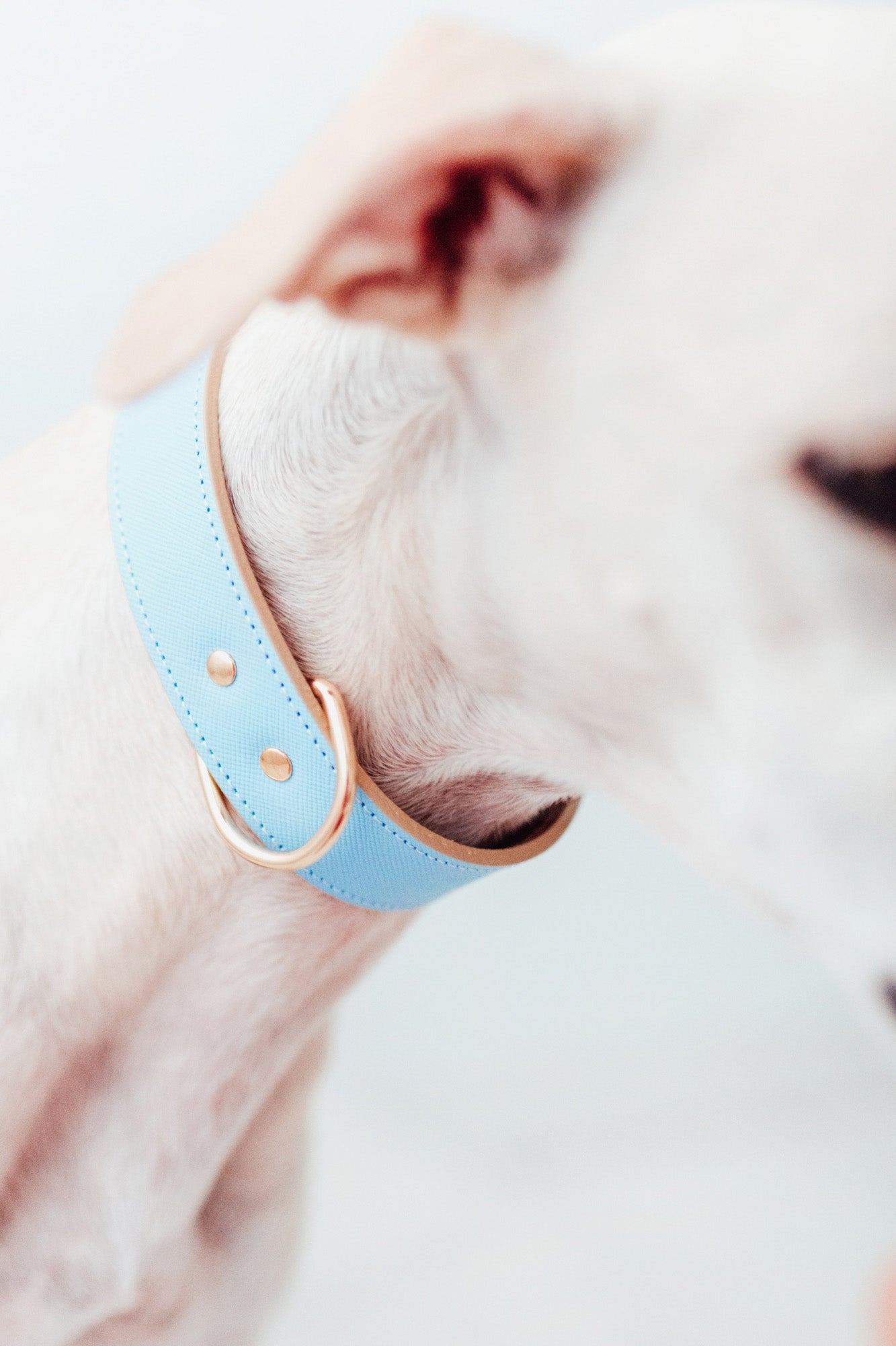 Collar Moni sky blue