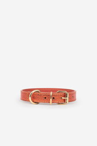 Collier Chien Metal Toy orange - M / Orange