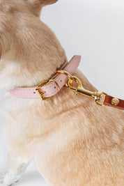 Pink Moni Toy collar