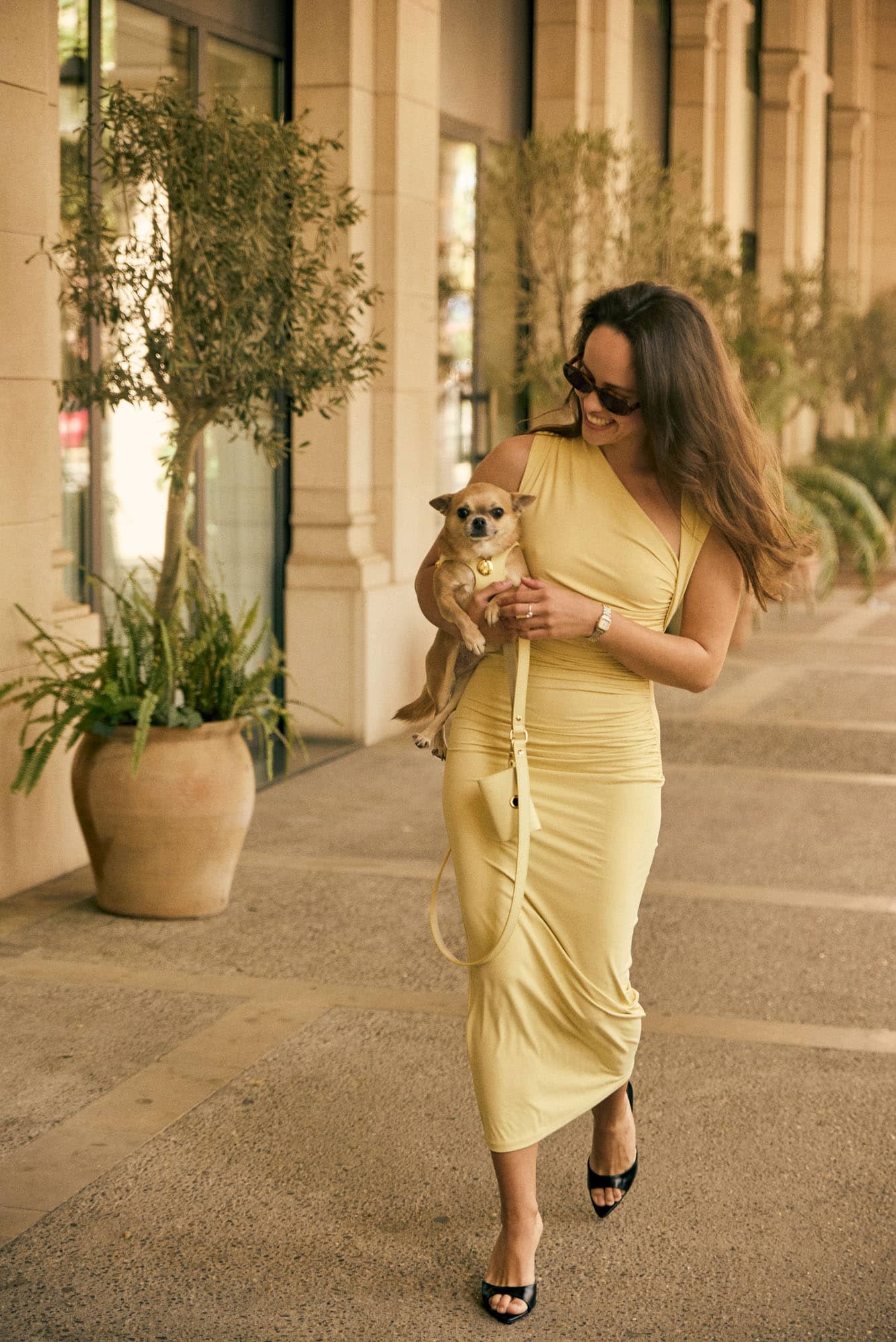 Arnés perro Juno amarillo