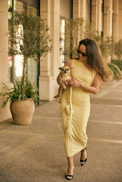 Arnés perro Juno amarillo