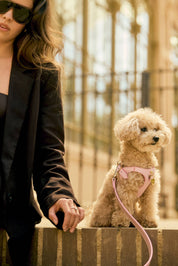 Arnés perro Juno rosa