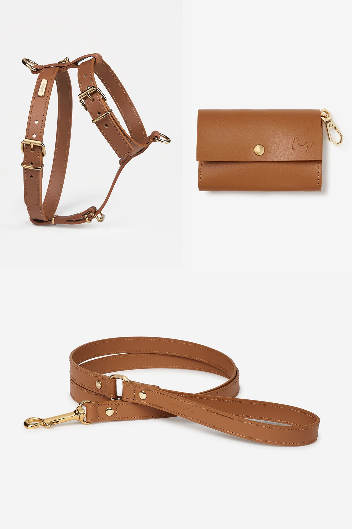 kit arnés camel para perro