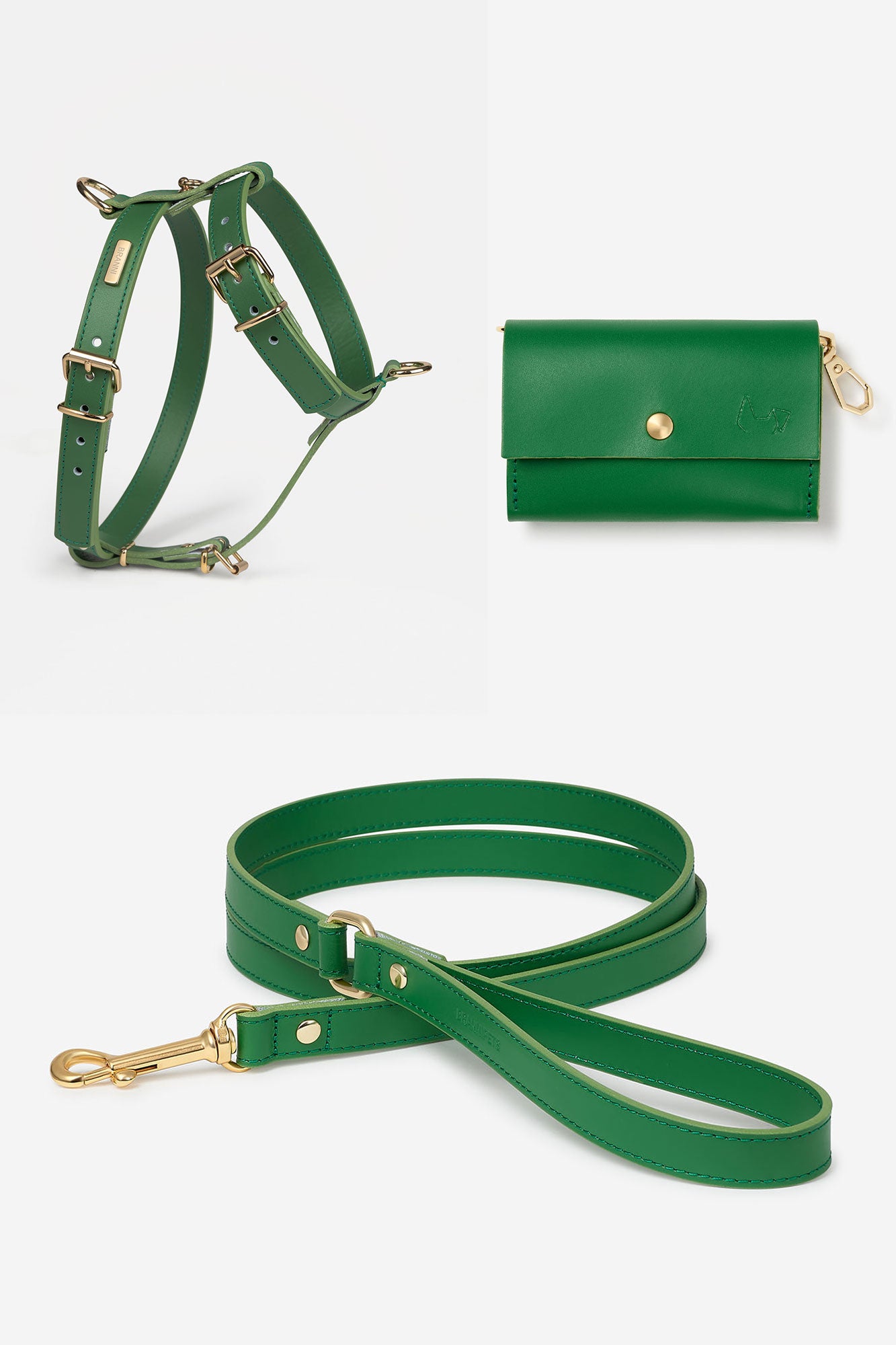 arnés perro verde básico