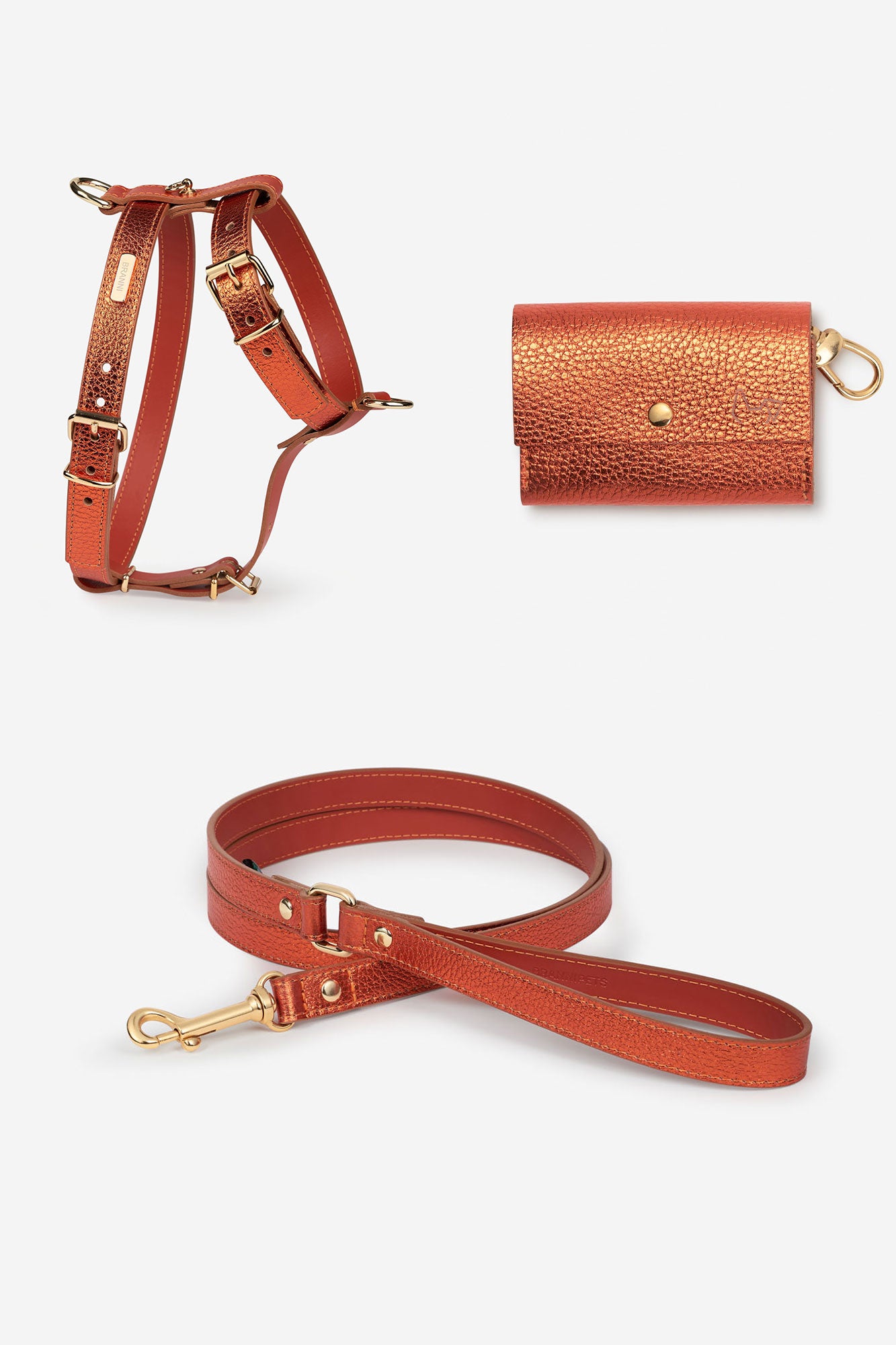 arnés caniche perro