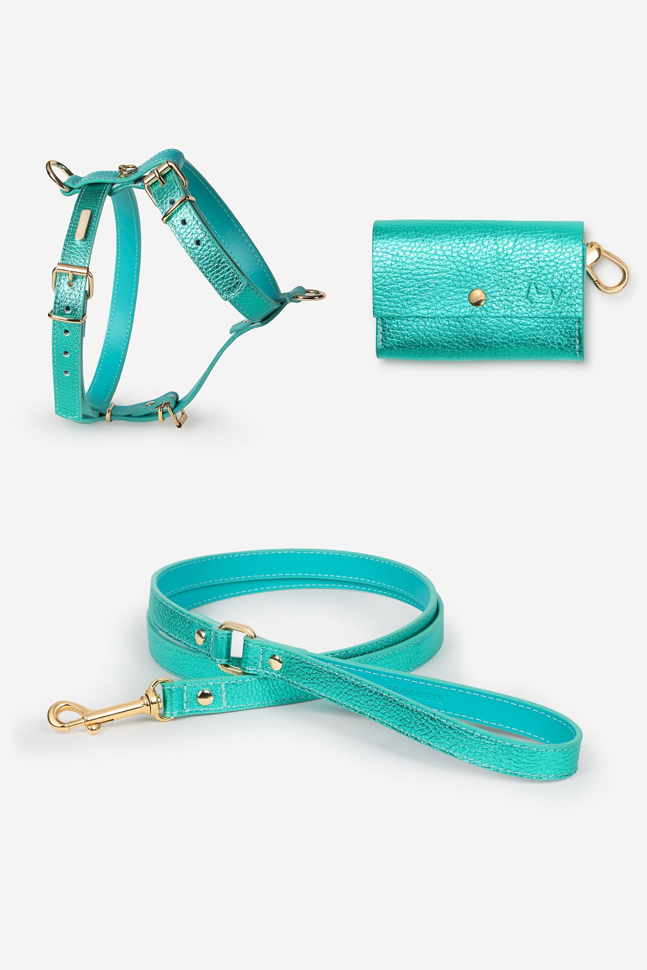 arnés turquesa perro