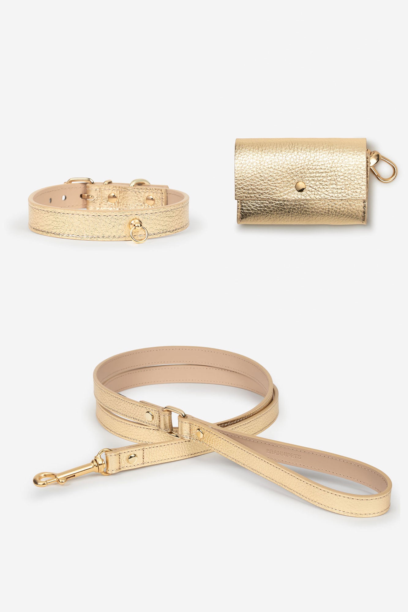 Kit-collar-dorado_64a88297-02db-4841-89ce-fe22b4fcc80c.jpg