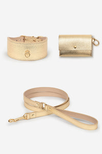 Kit collier Lévrier Metal doré - L / Standard
