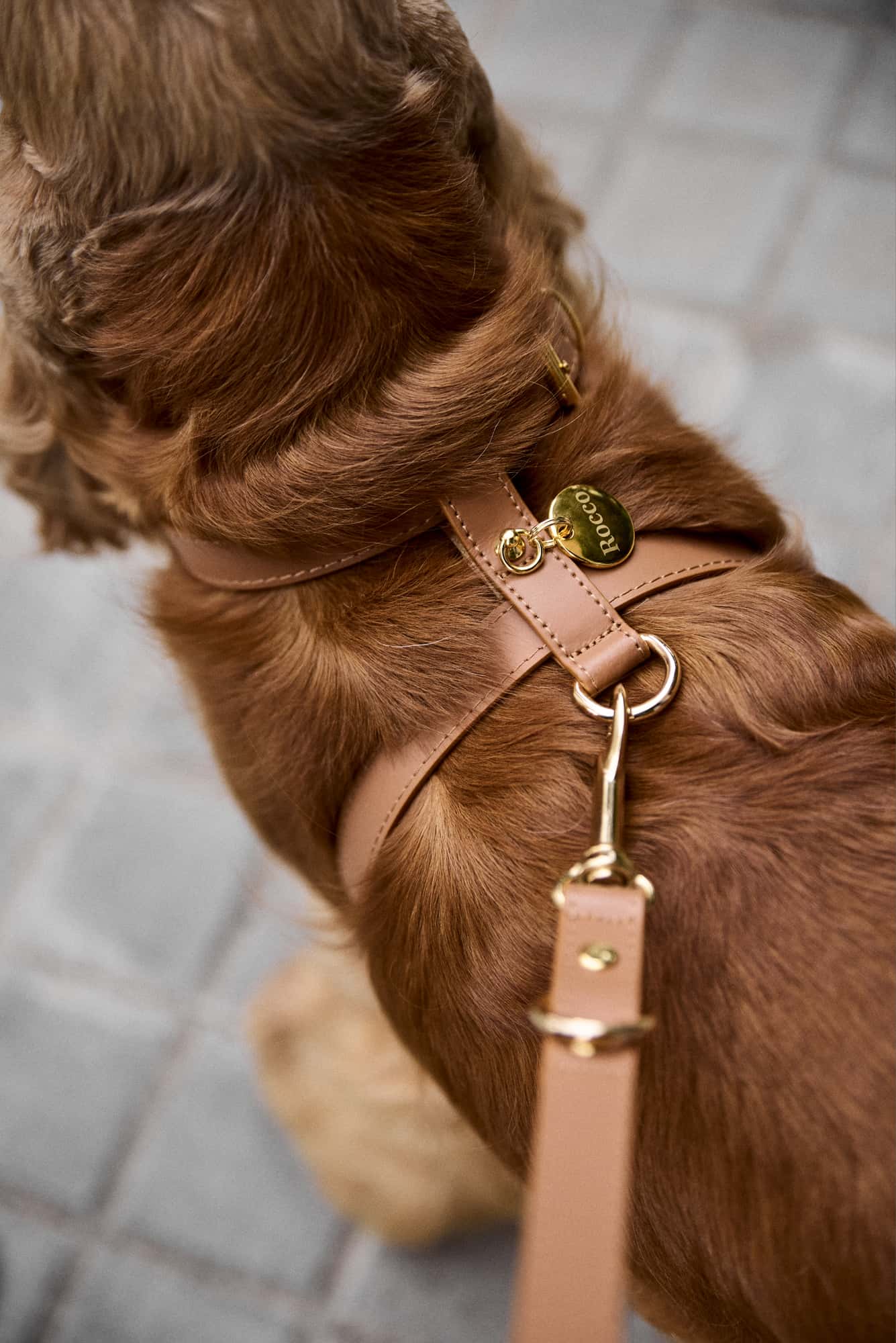 Arnés perro Nara camel