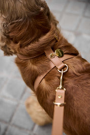 Arnés perro Nara camel