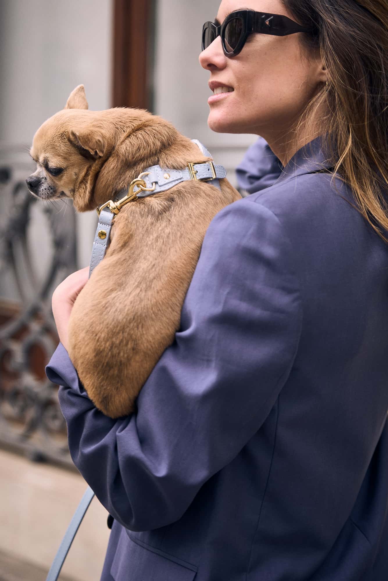 Kit arnés perro Juno azul cielo