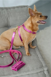 Fuchsia Metal harness