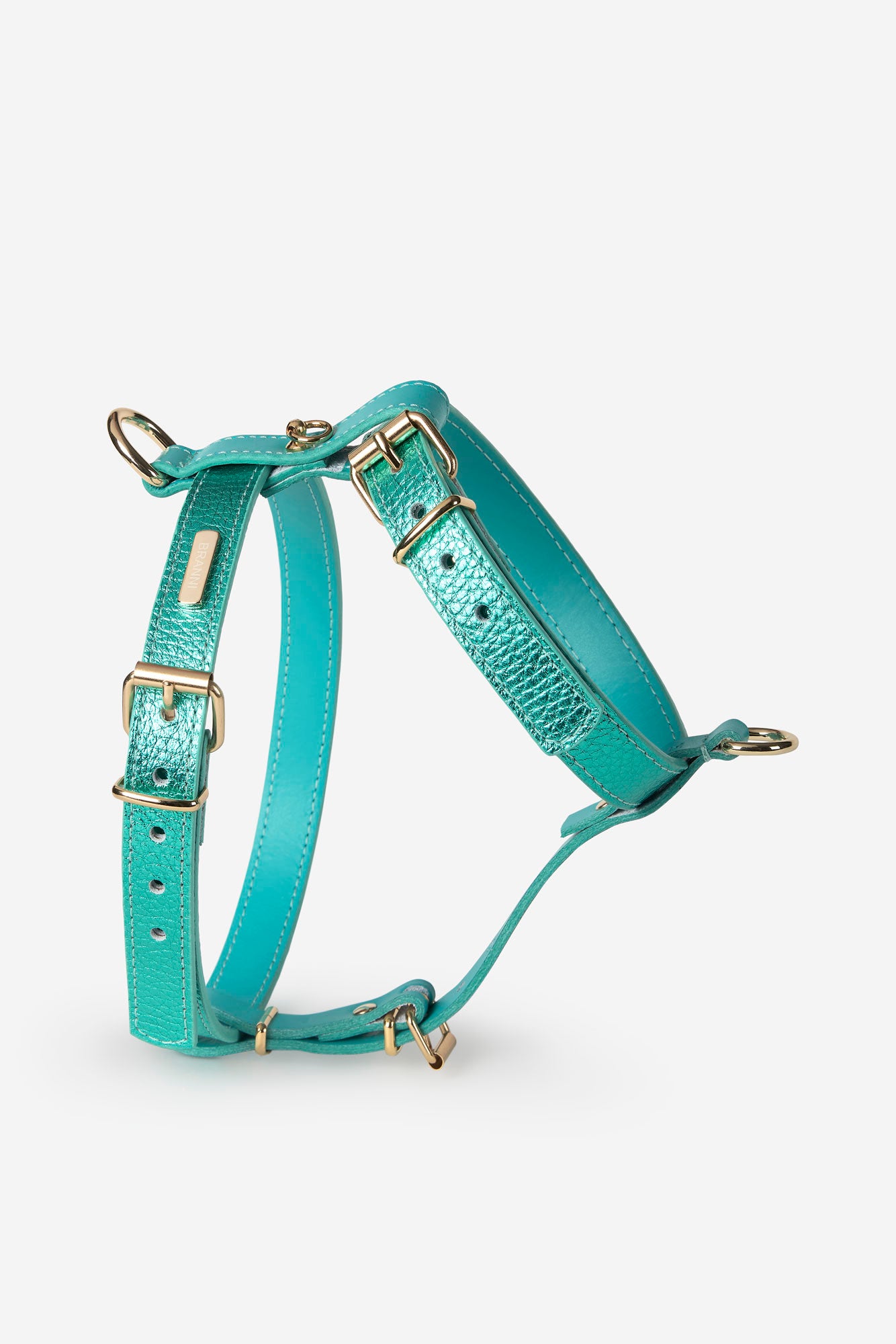 Turquoise Metal harness