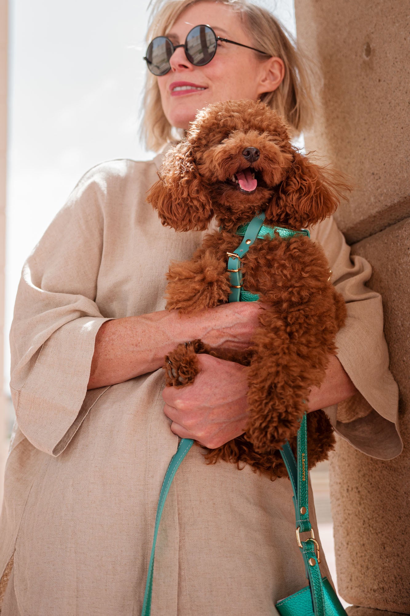 arnés perro turquesa metalizado