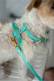 Turquoise Metal harness