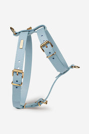 Sky blue Nara harness