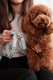 Sky blue Nara harness