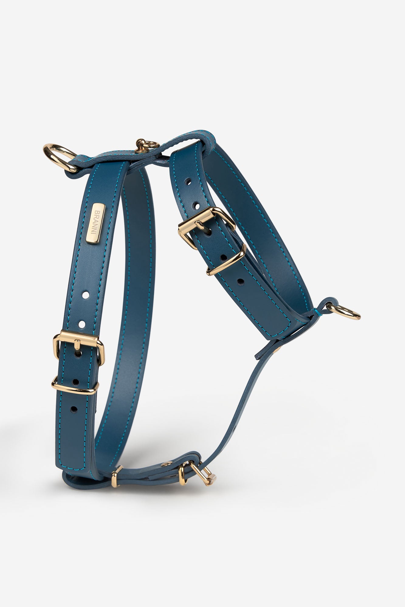 arneses azules perros pequeños