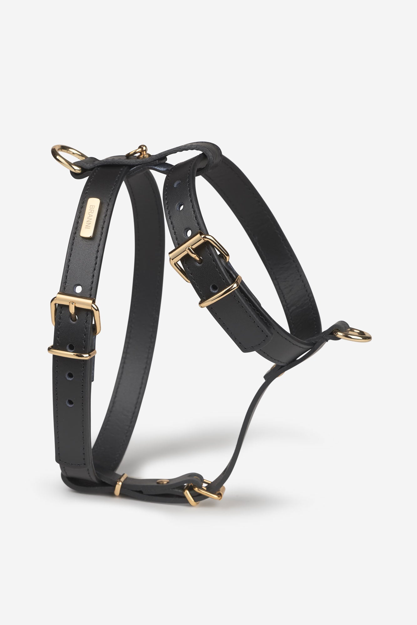 arnes negro perro pequeño