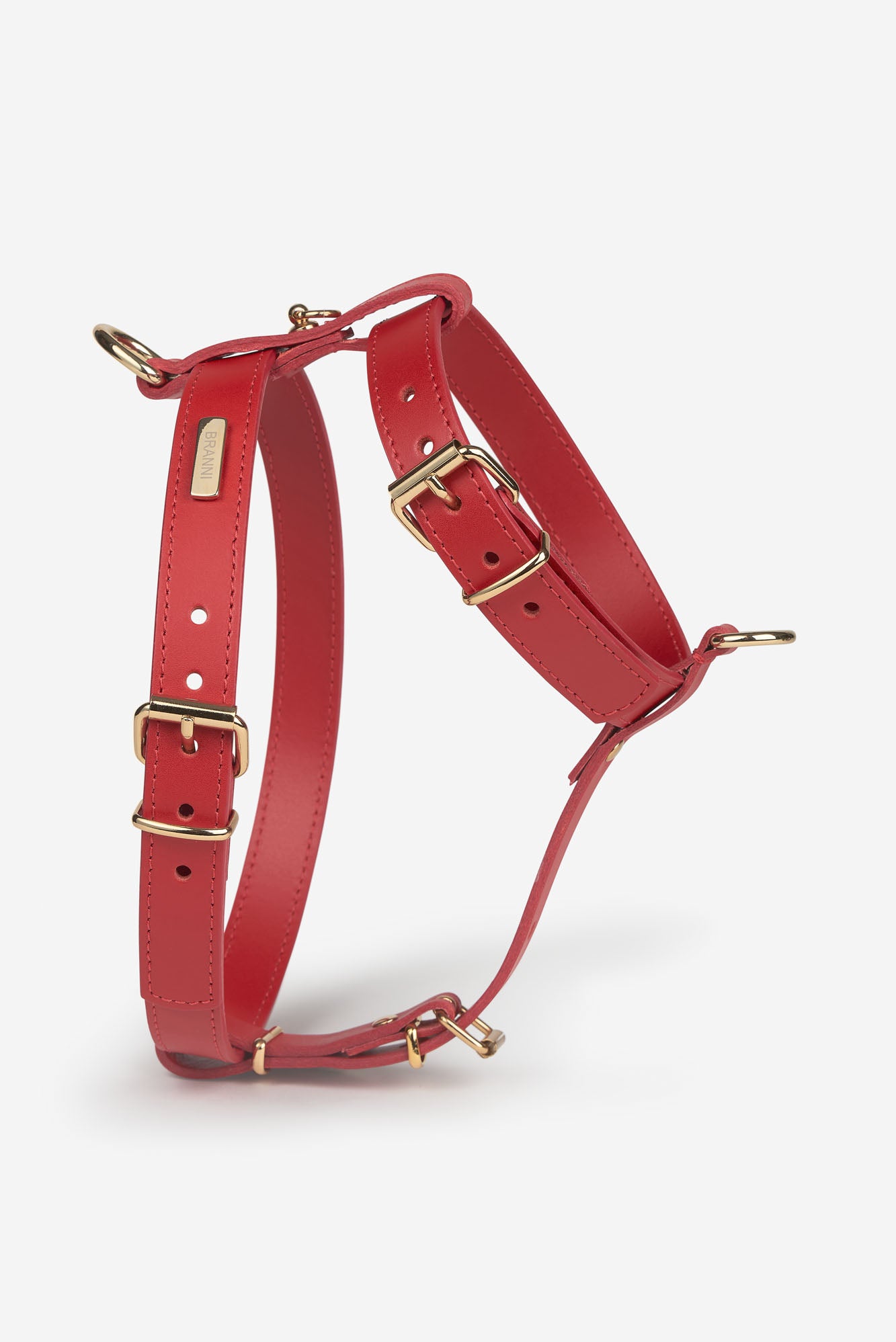 arnes perro pequeño rojo