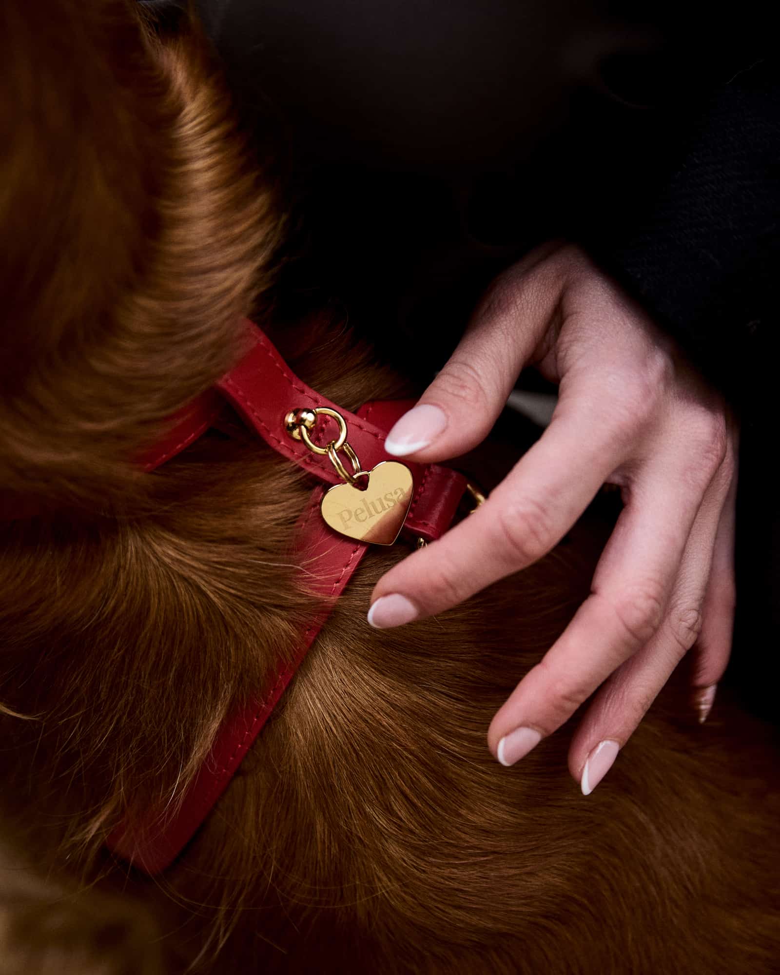 Red Leather Nara Dog Harness Set