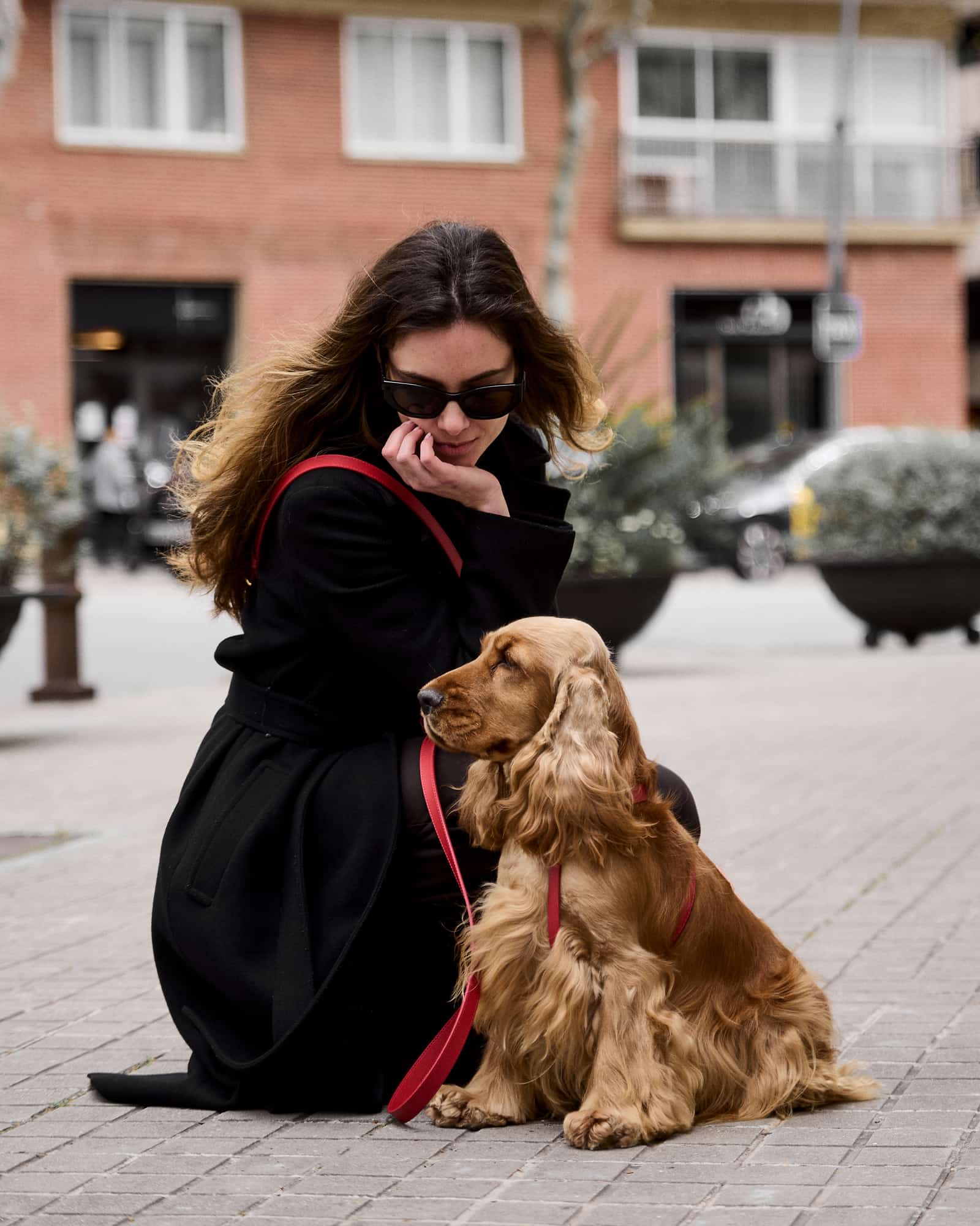 Red Leather Nara Dog Harness Set