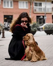 Red Leather Nara Dog Harness Set