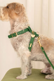 Green Nara harness