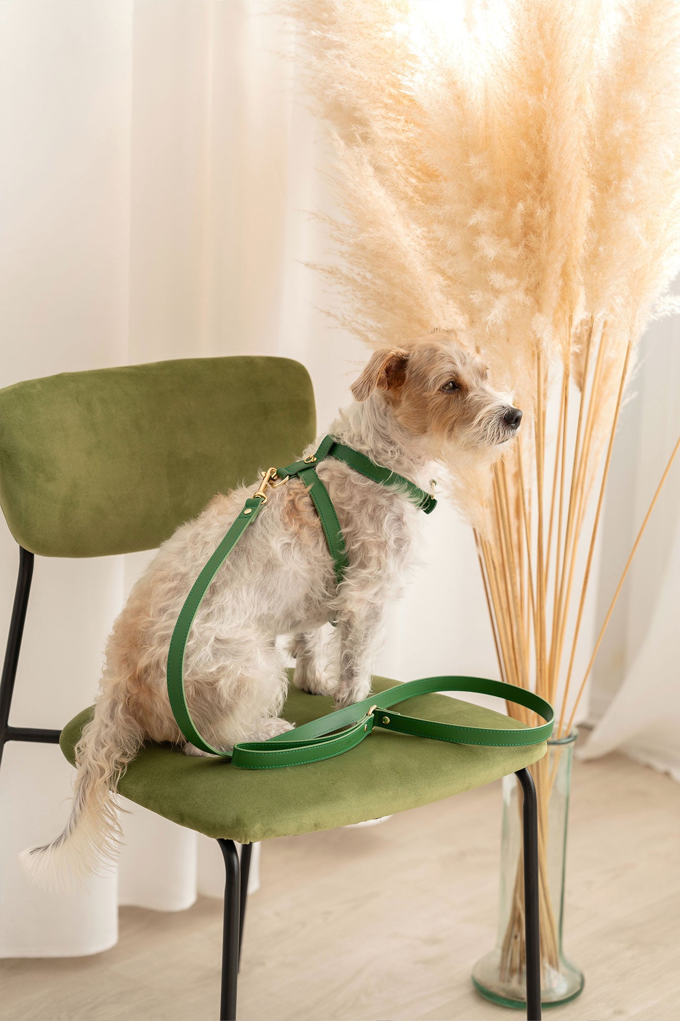 Green Nara harness