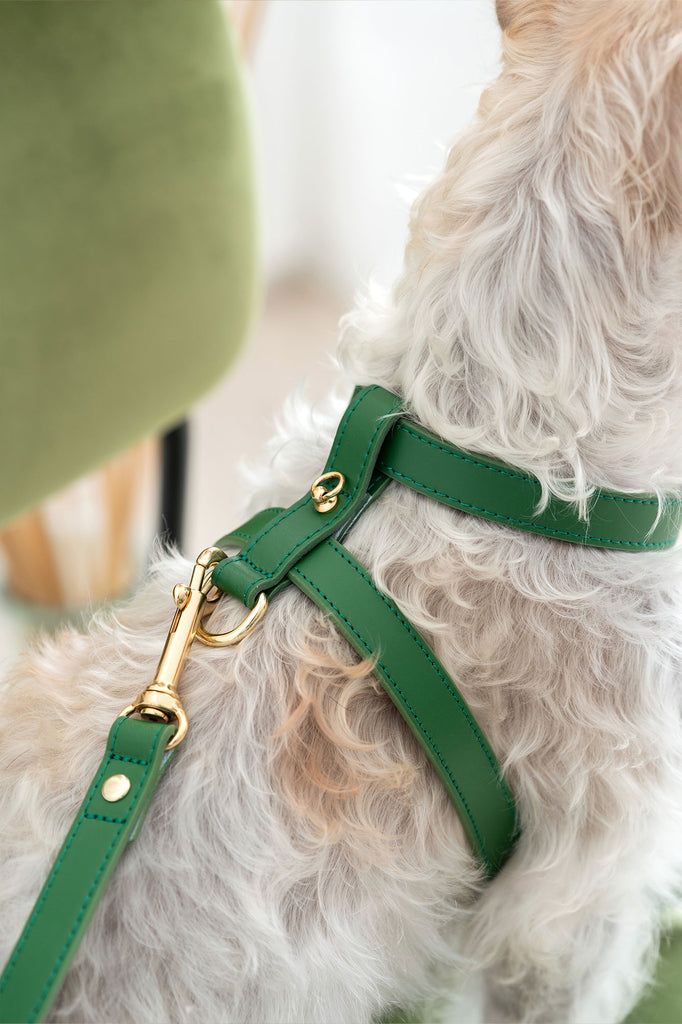 Nara Green Harness - Premium Dog Accessories 