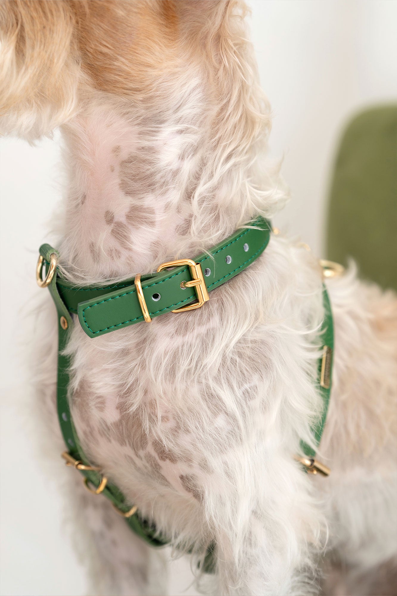 Green Nara harness