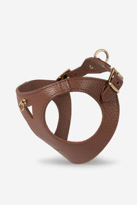 Harnais Chien Juno marron - Marron / XS