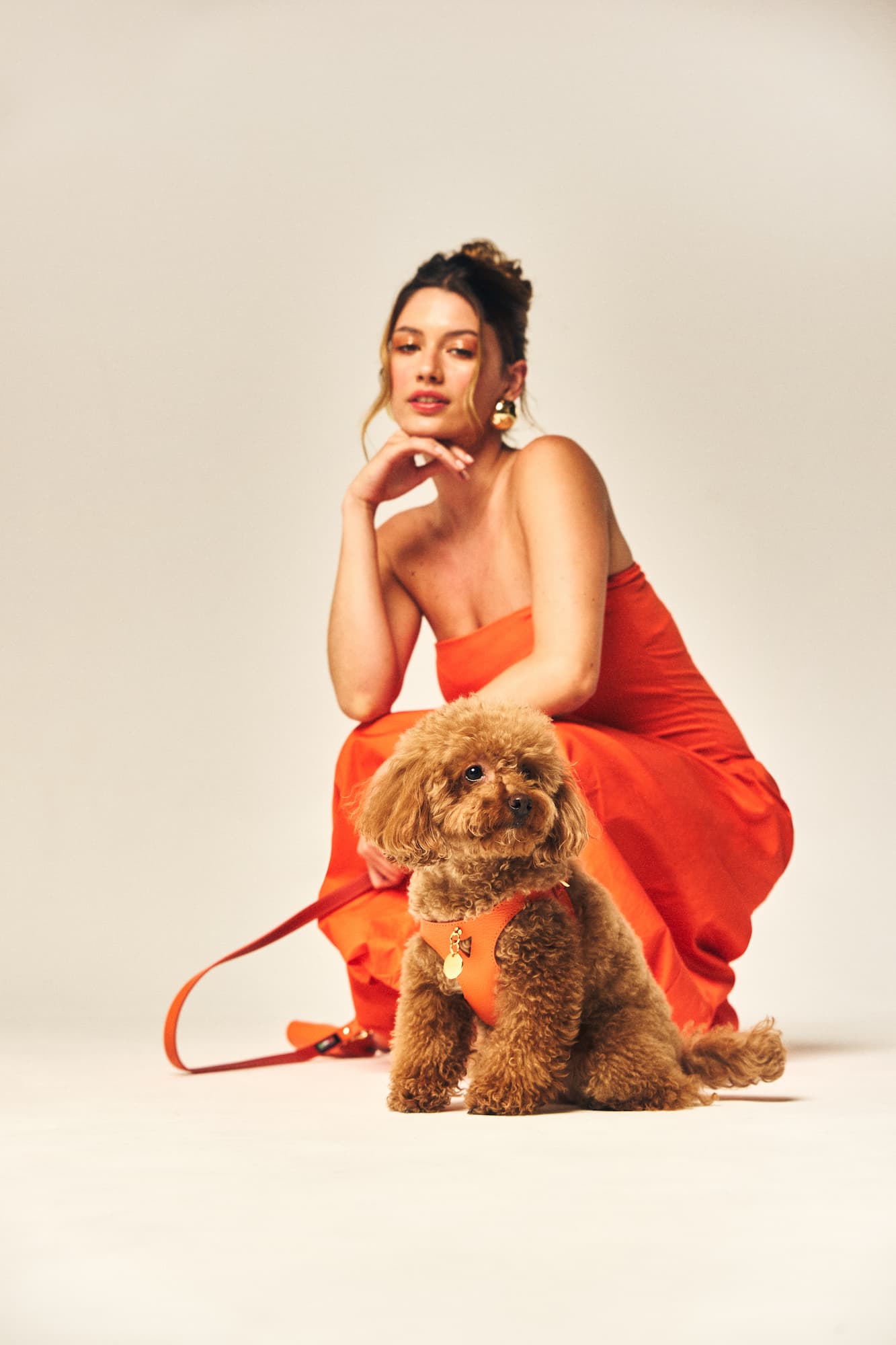 arneses perros naranja