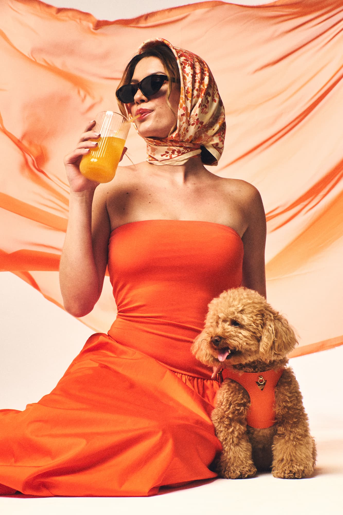 arnés naranja perro