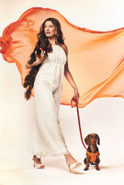 arnés perro naranja