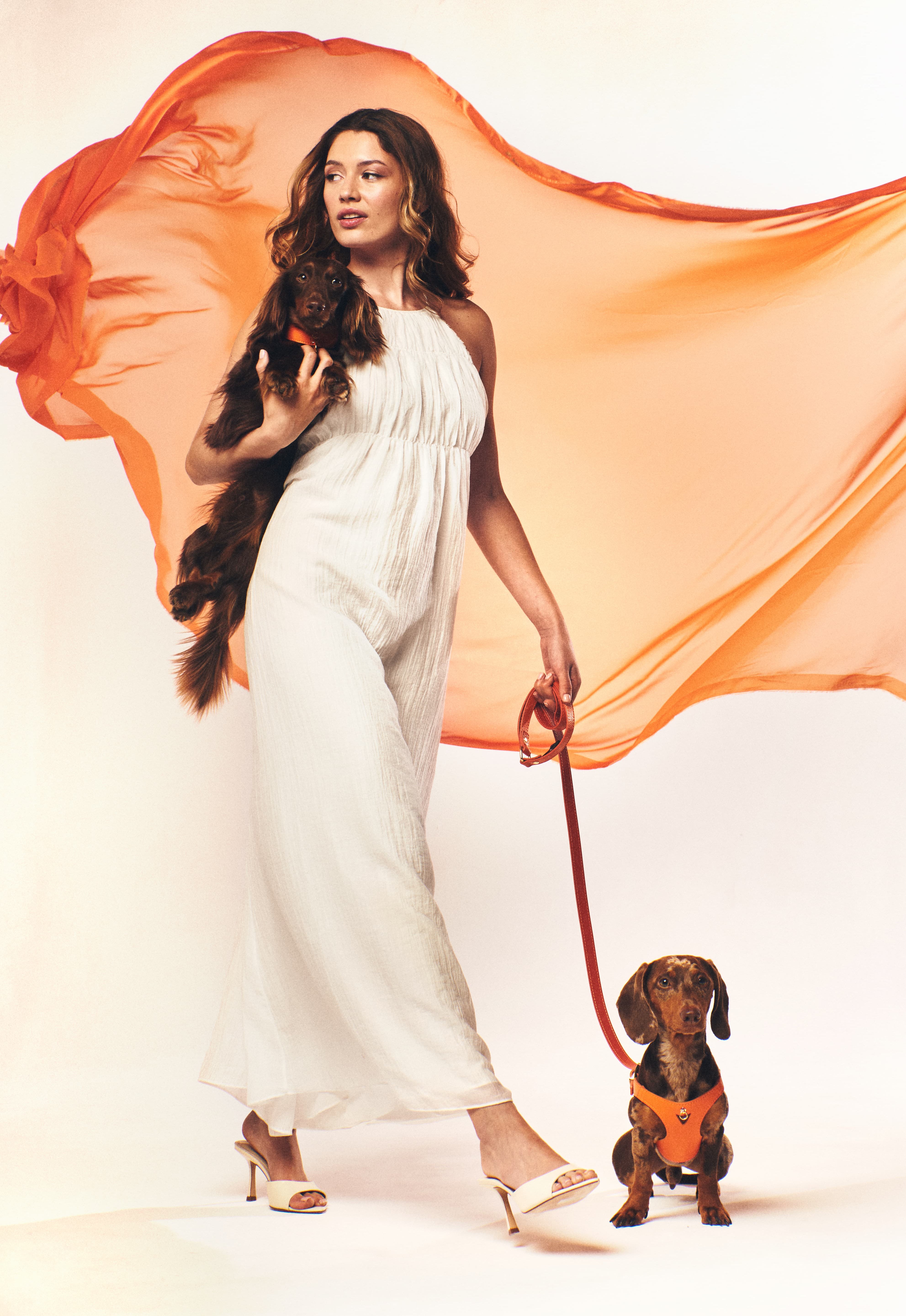 arnés perro naranja