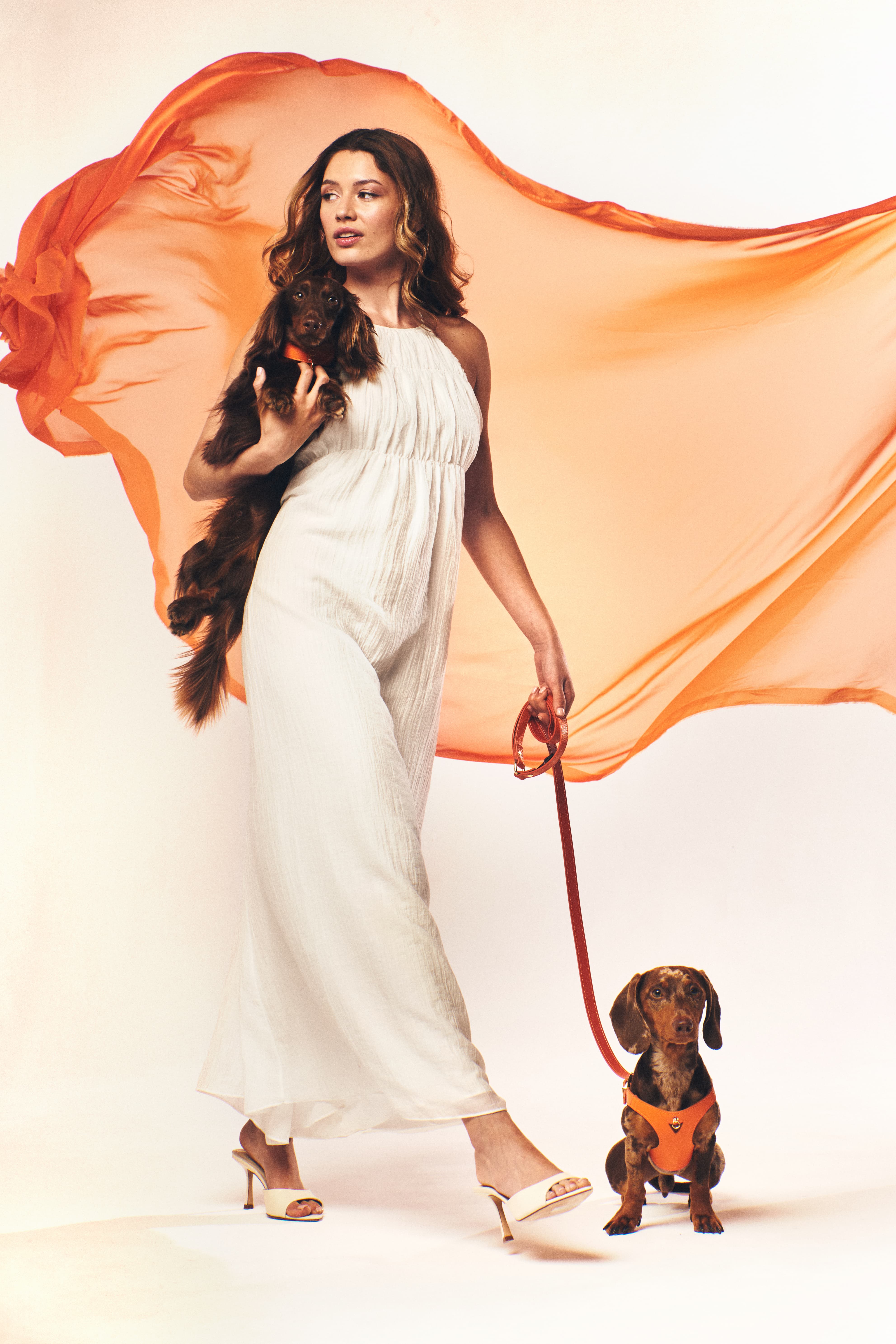 arnés naranja para perros