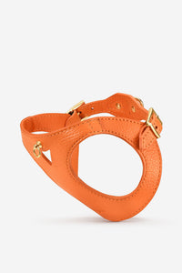 Arnés perro Juno naranja - Naranja / XS