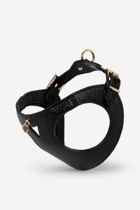 Black Leather Juno Dog Harness - Negro / S