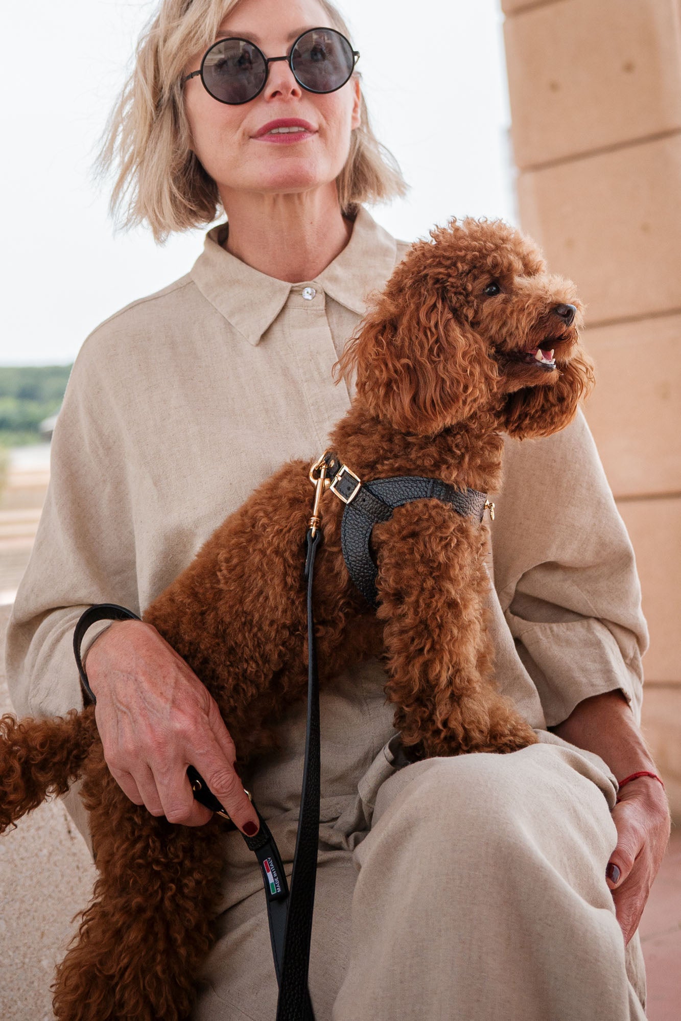 arnés negro para perro chico