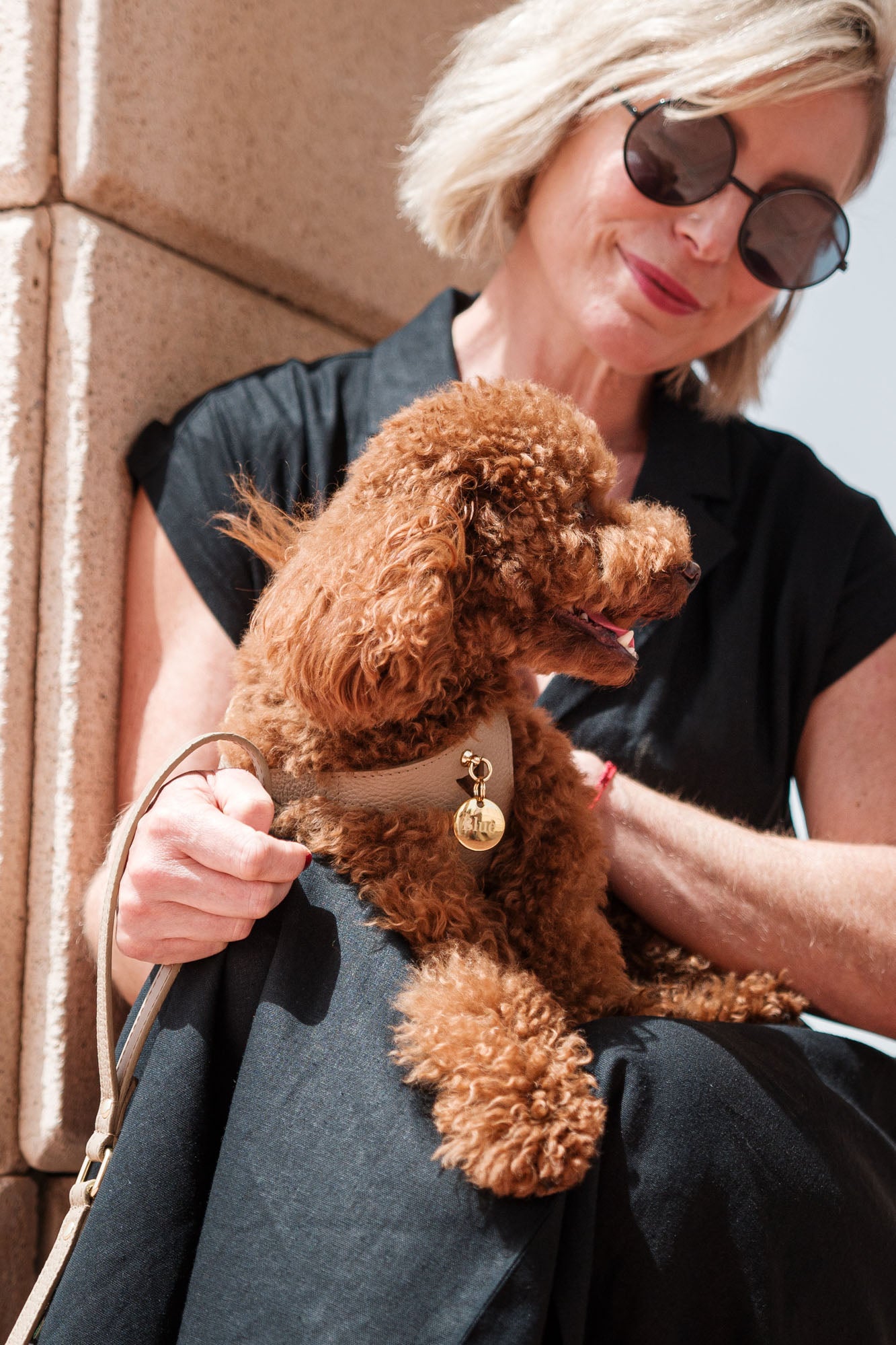 arnés taupe perro pequeño