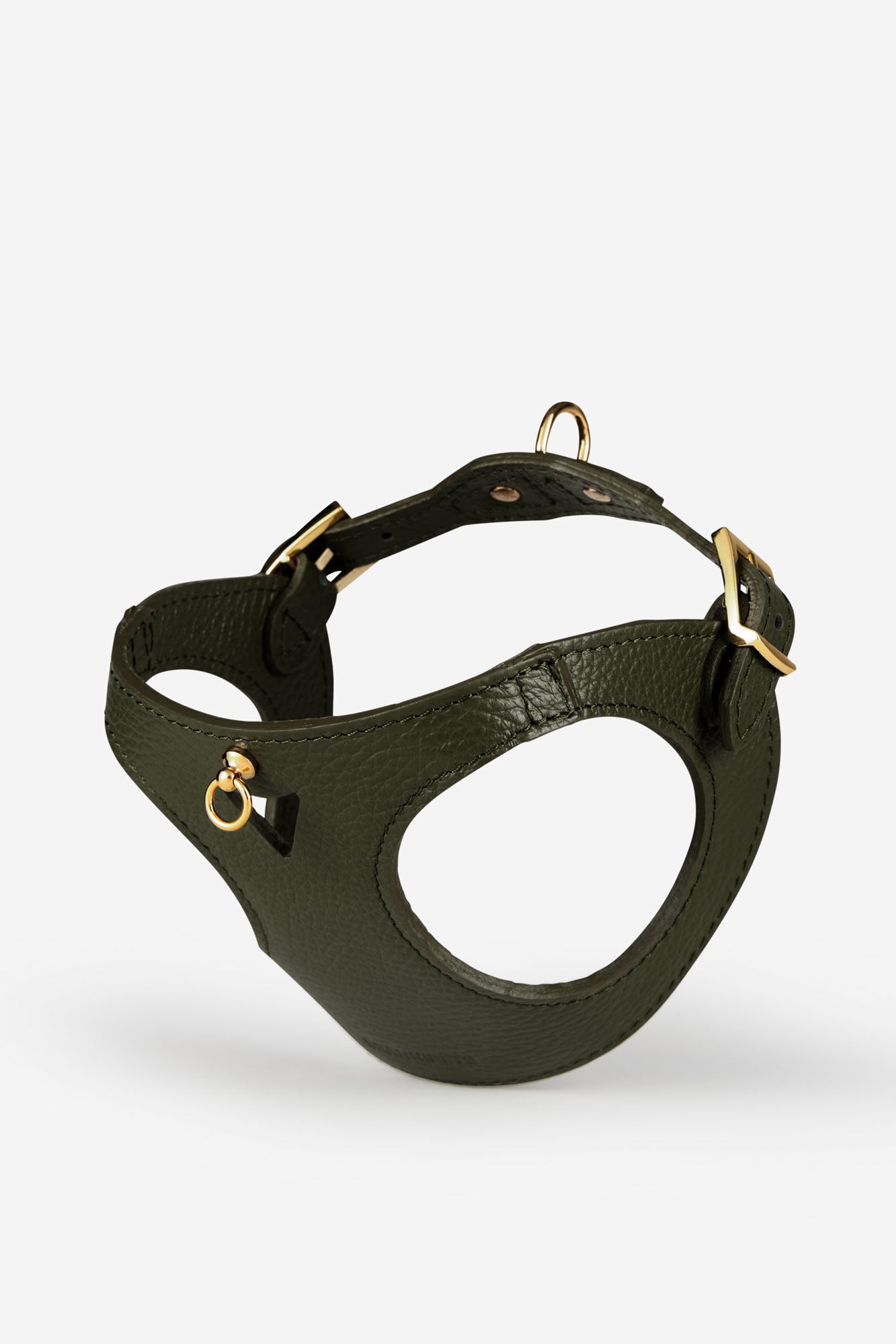 arnes perro caniche verde oscuro