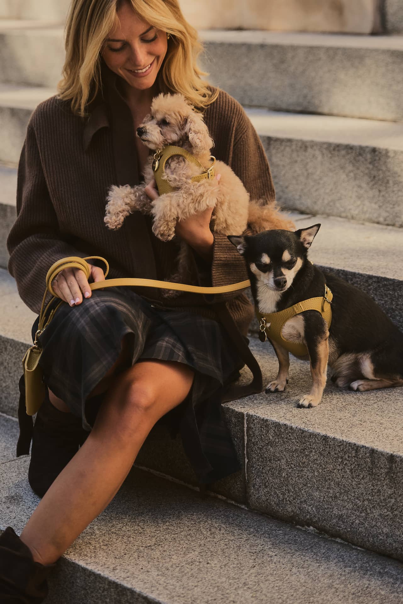 banner-branni-pets-novedades-mobile.jpg
