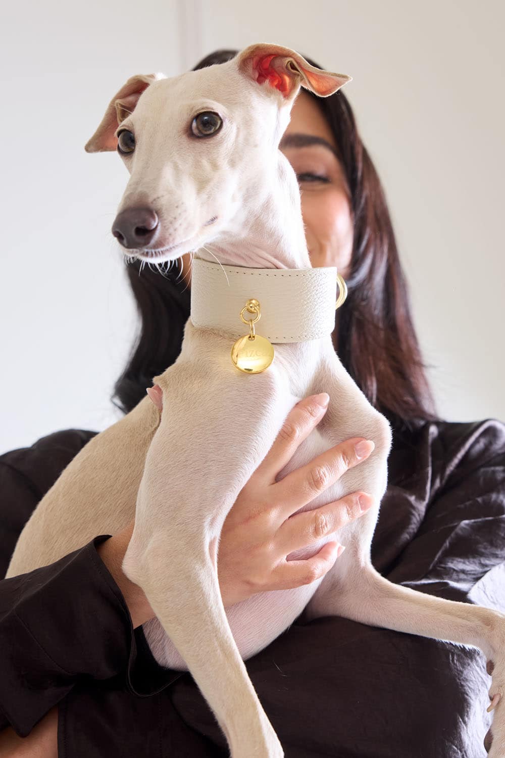 Kit collar Galgo Juno blanco