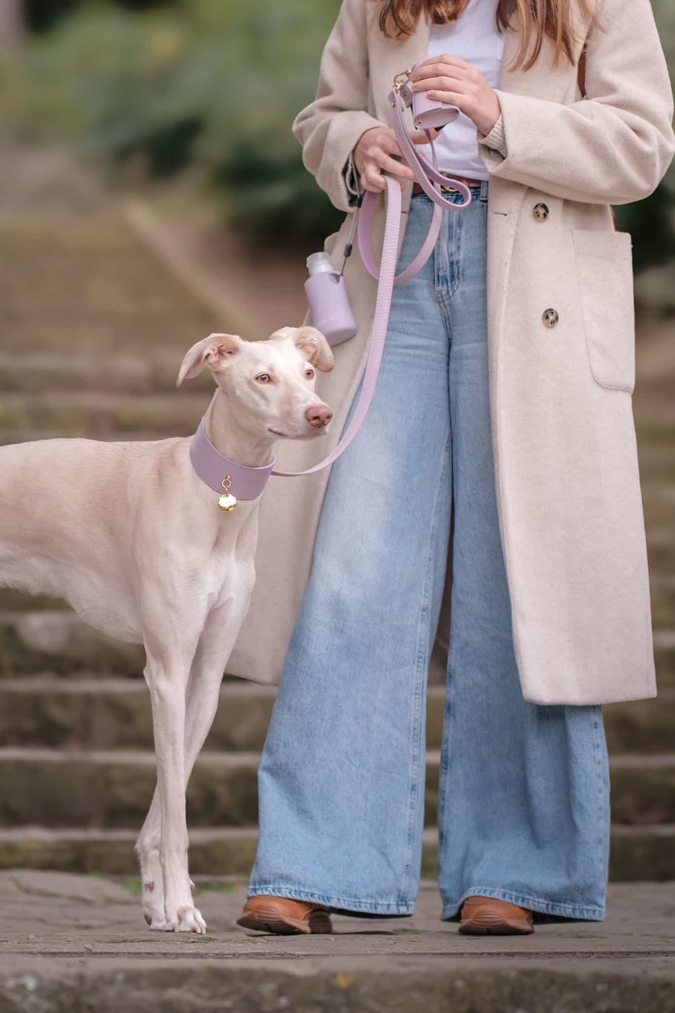 collar-galgo-juno-lavanda-7.jpg