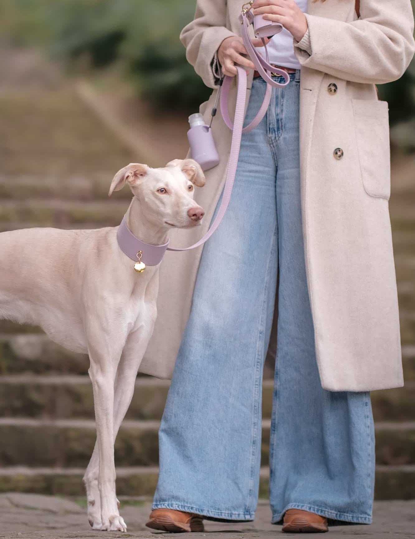 collar-galgo-juno-lavanda-7.jpg