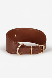 Brown greyhound collar