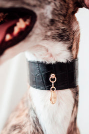 Collar Galgo Lia negro