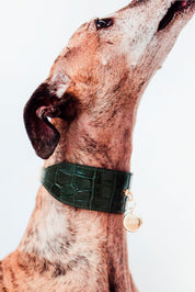 Collar Galgo Lia verde oscuro
